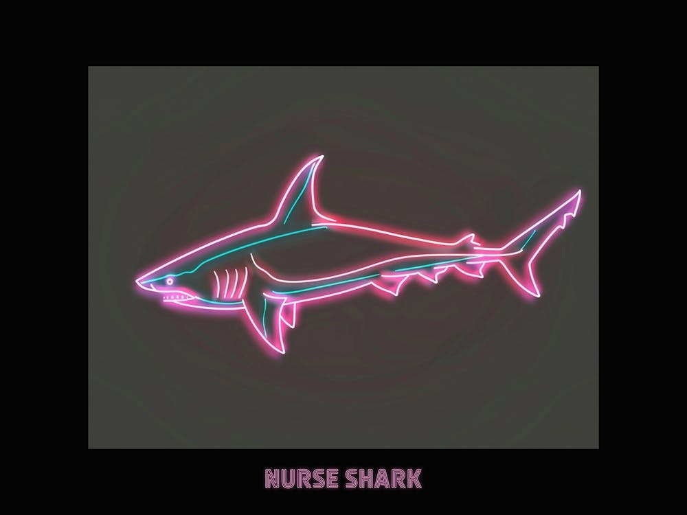 Pink Neon Nurse Shark Poster 3