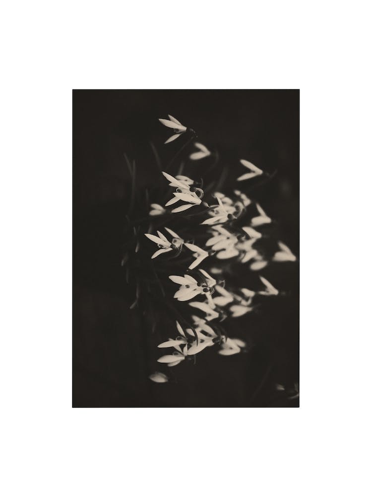 Nature Mix And Match 09