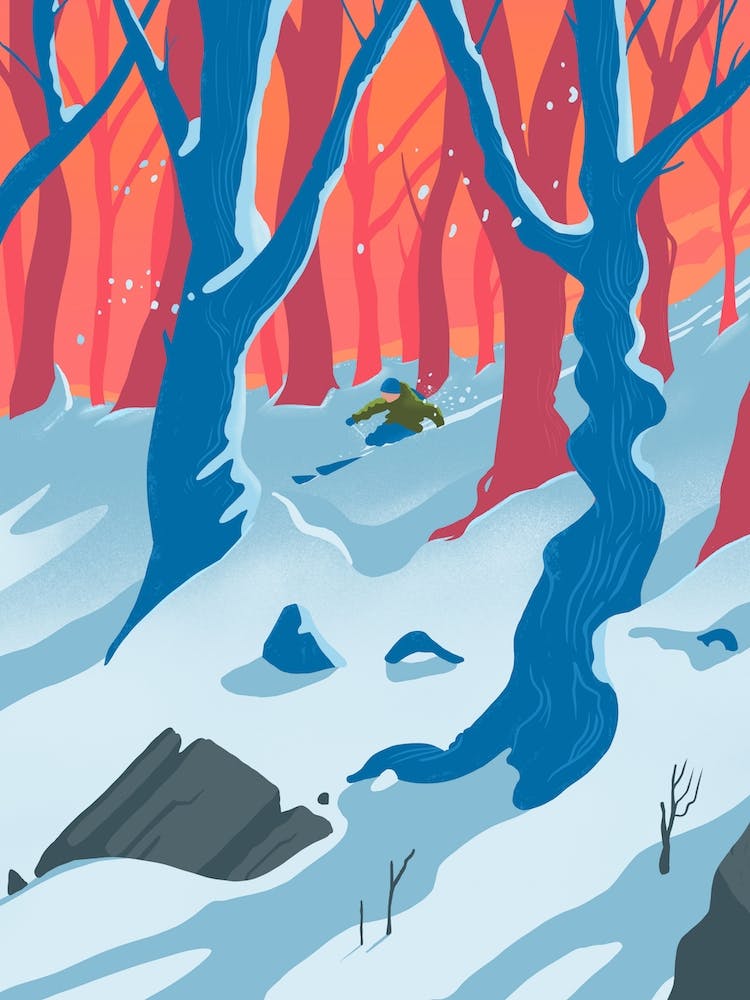 Off Piste Fresh Powder  Ski