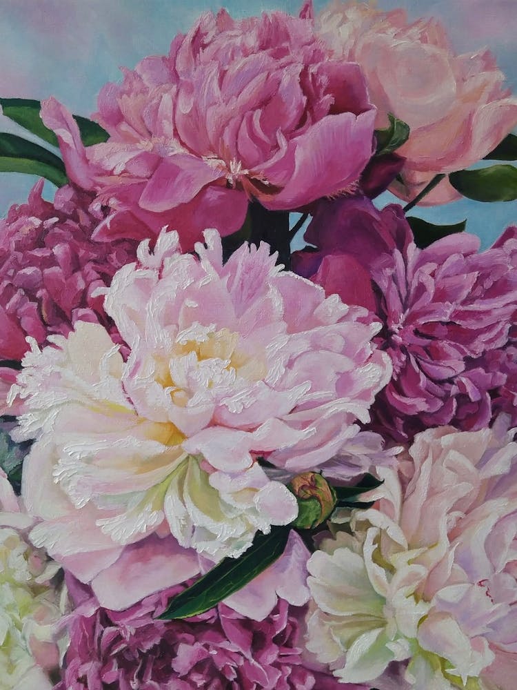 Pink Peonies