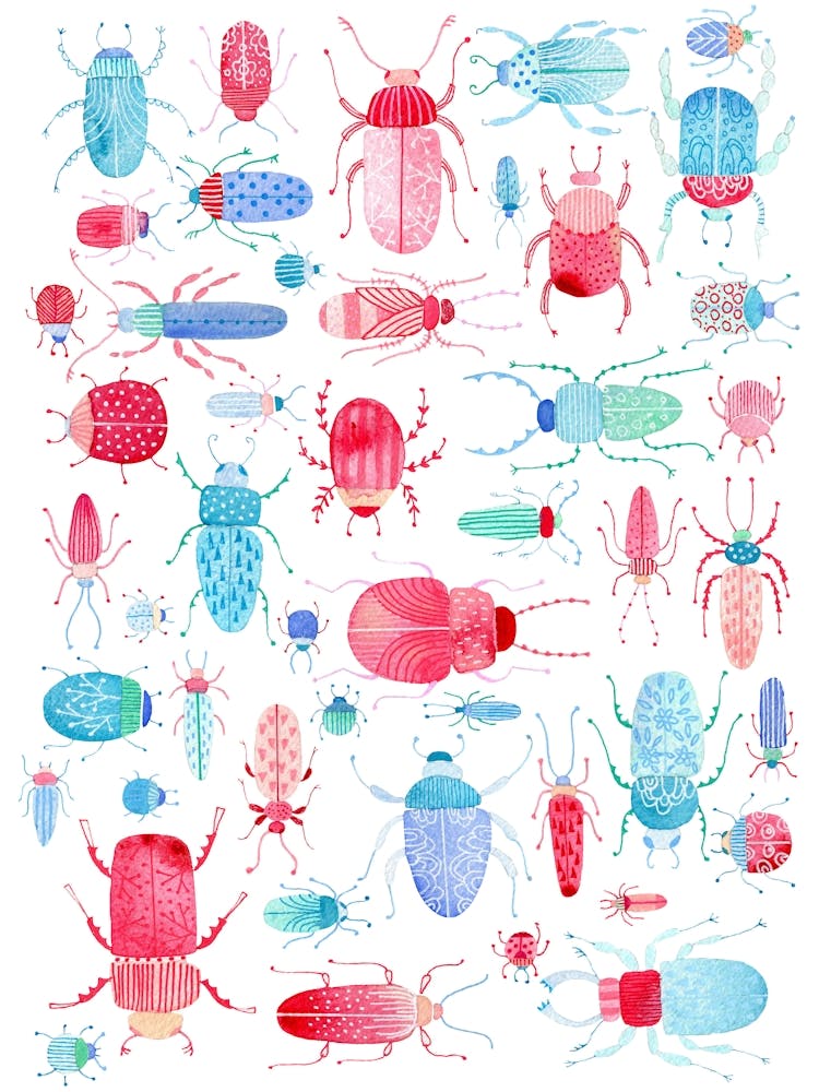 Beetles and Bugs Pink and Blue Watercolor