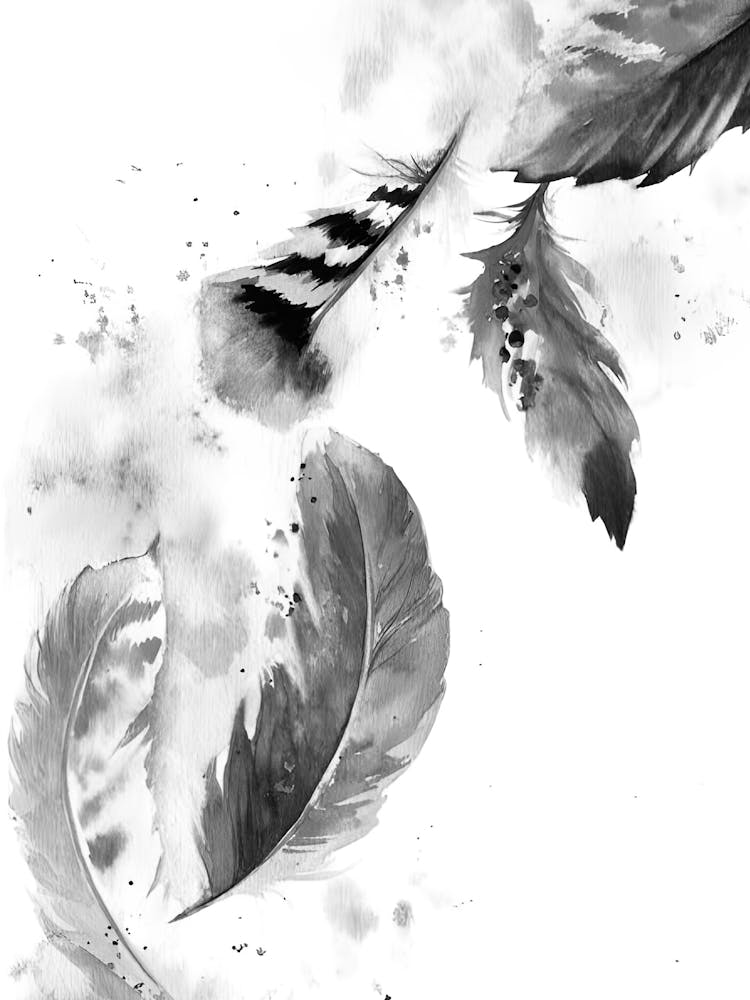Feathers