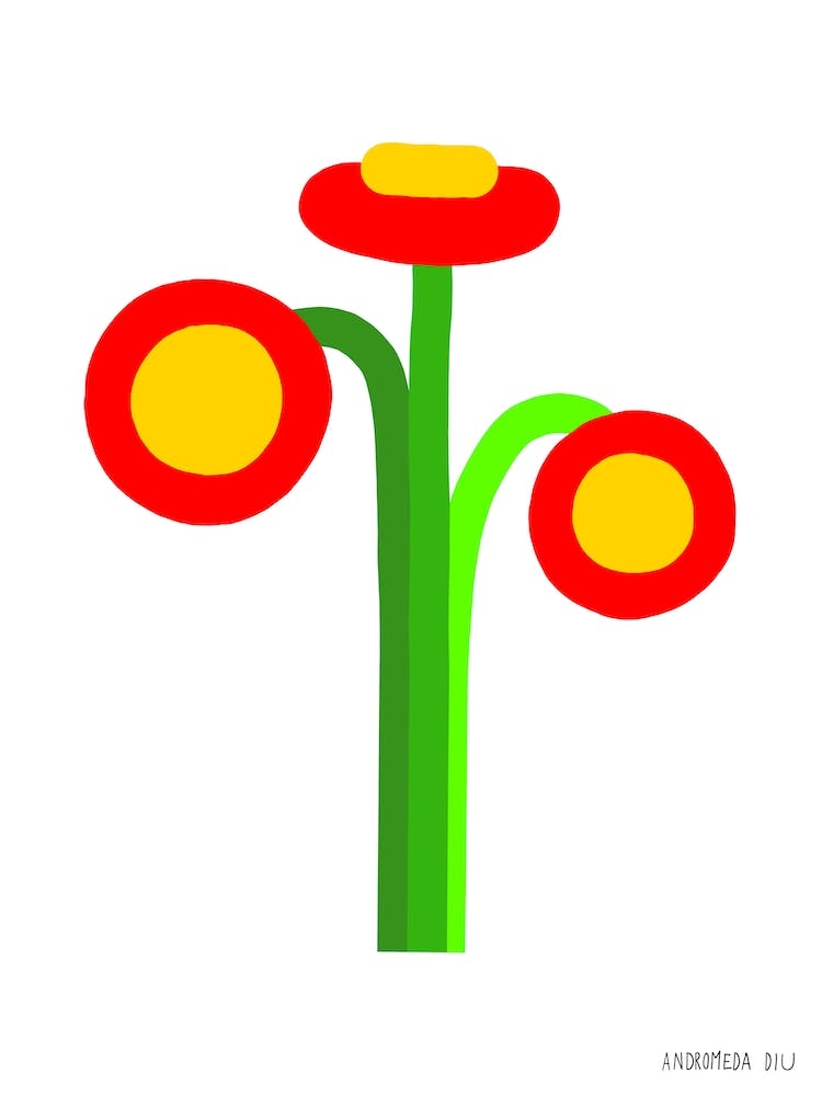 Geometric Flowers