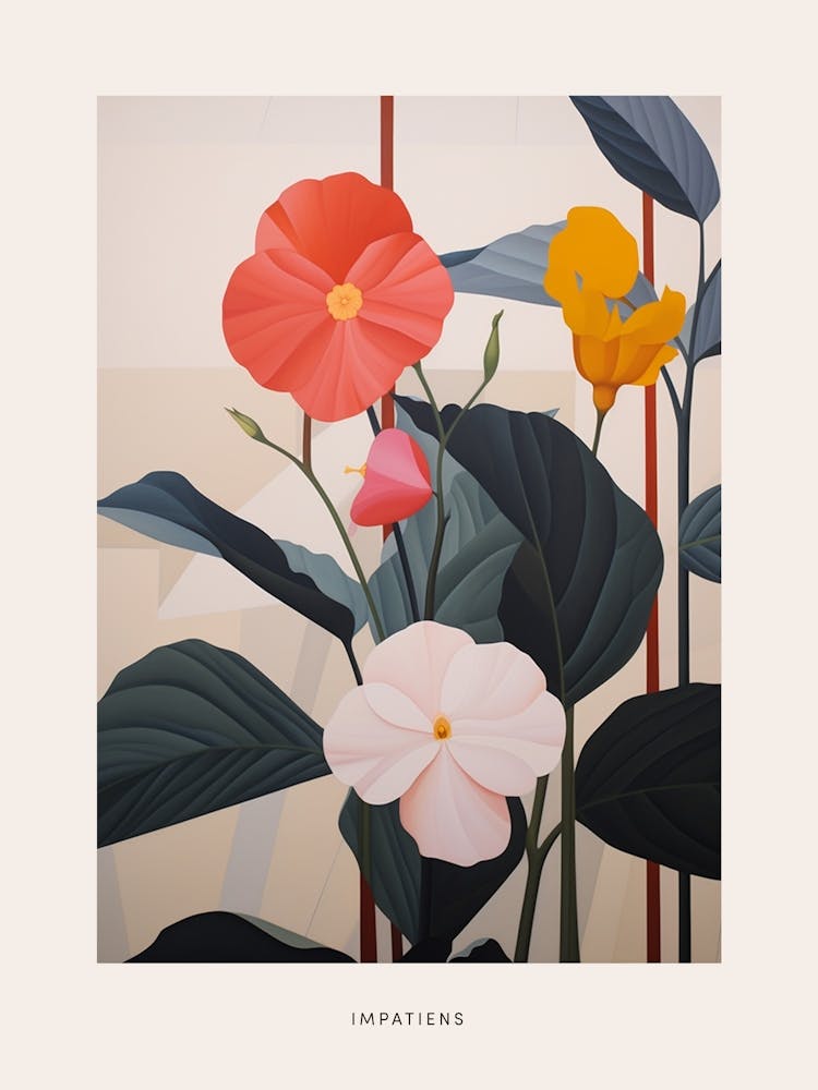 Flower Illustration Impatiens 2 Poster