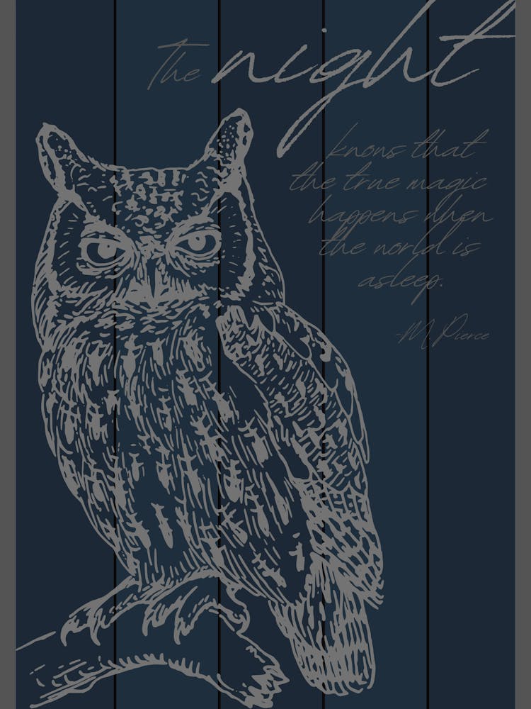 Sagesse du Hibou de Nuit