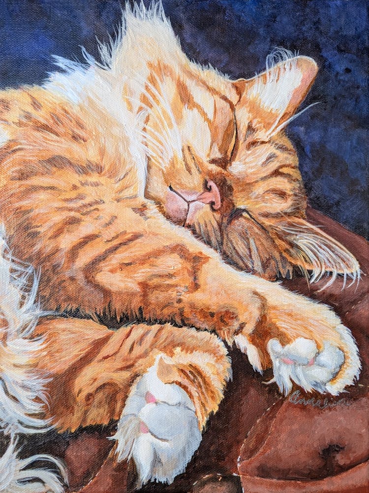 Sleepy Pye - Sleeping Ginger Cat – Longhair Domestic Cat