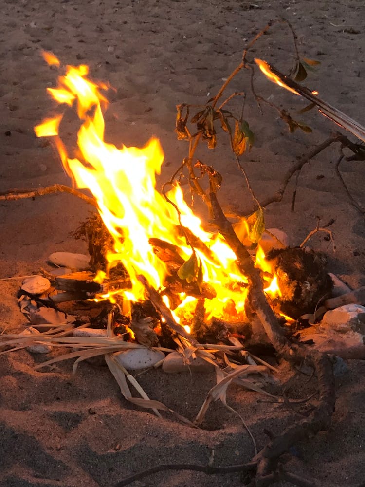 Campfire On The Beach