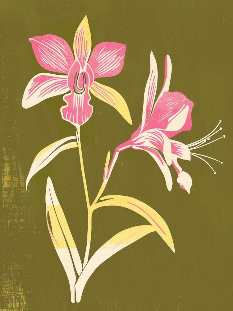 Pink & Green Orchid 1