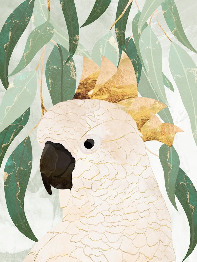 Sydney Opera Cockatoo