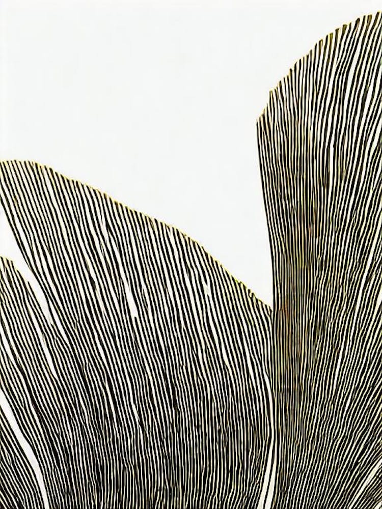 Acropora Tenuis Linocut