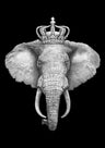 Majestätische Zeichnungs-Kunstdrucke