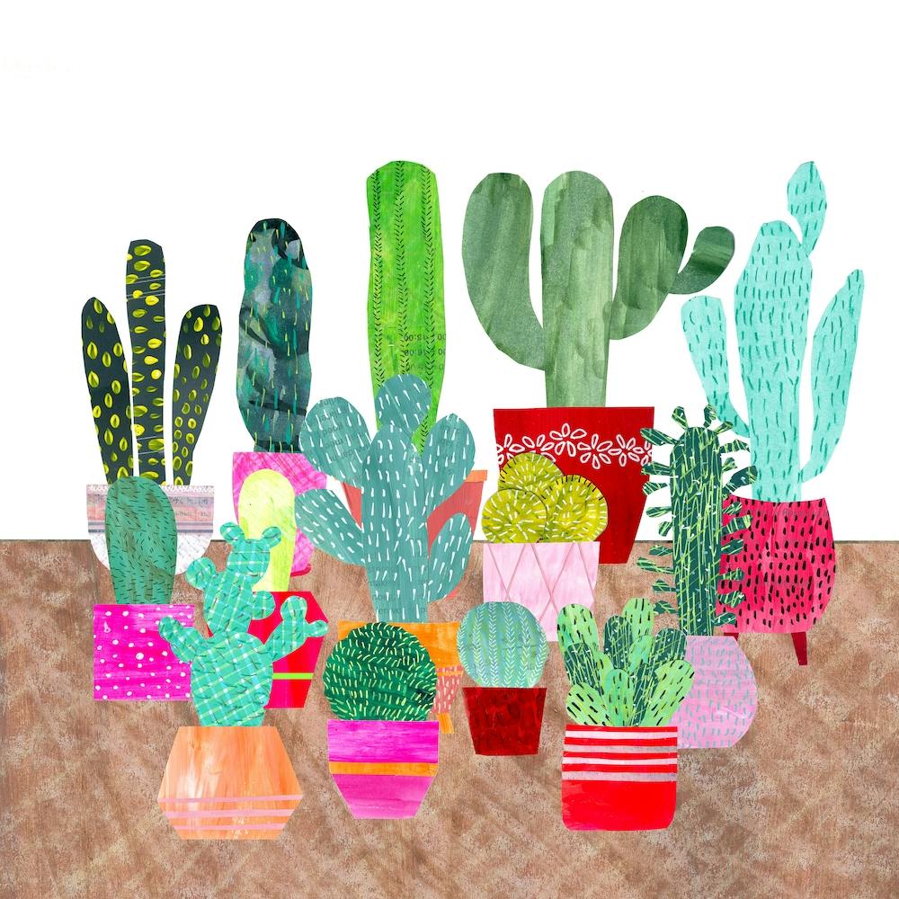 Cacti Quadratisch
