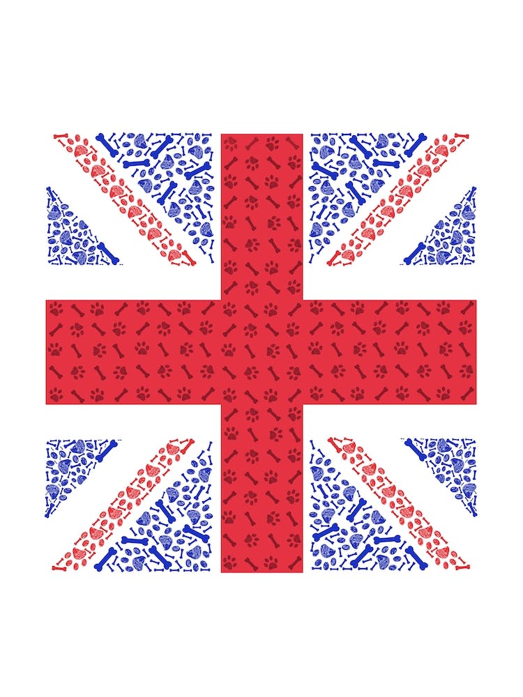 England Flag With Paw