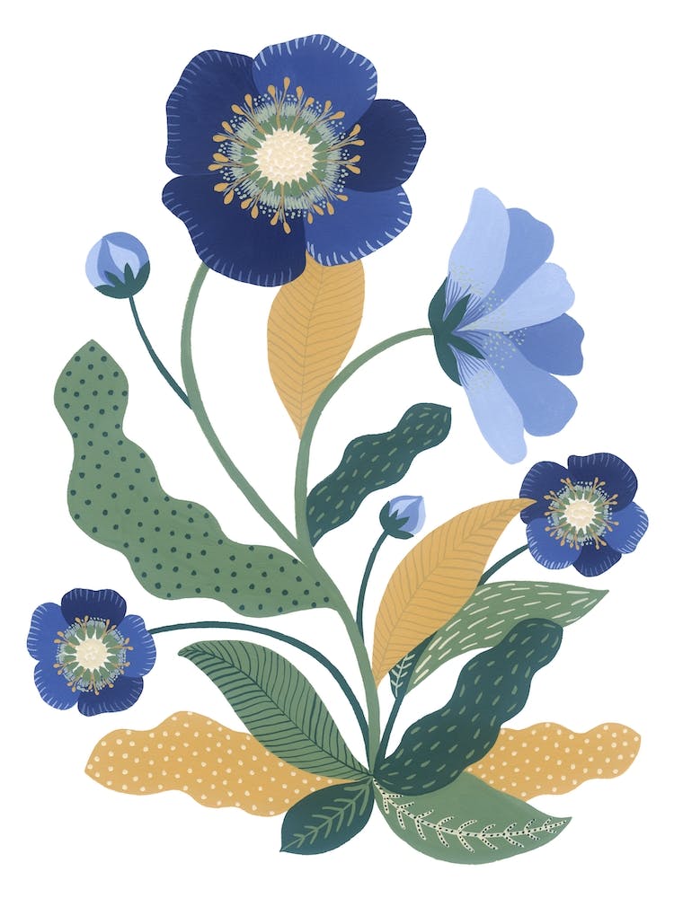 Wildblume Blaue Hellebore Botanische Malerei