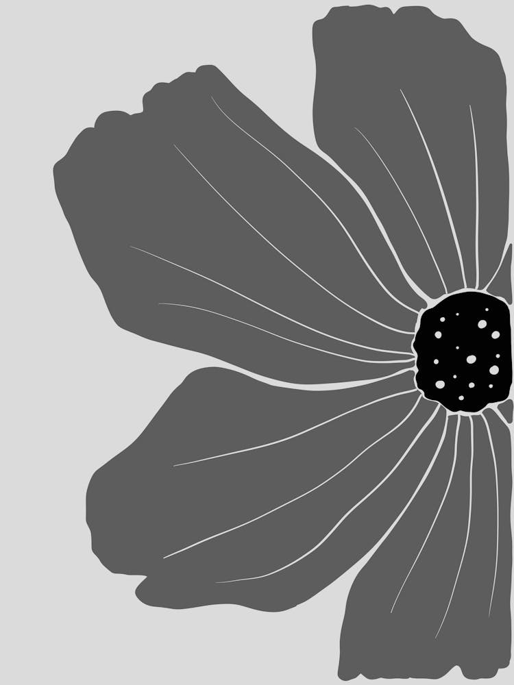 Schwarz-weiße Blume 31