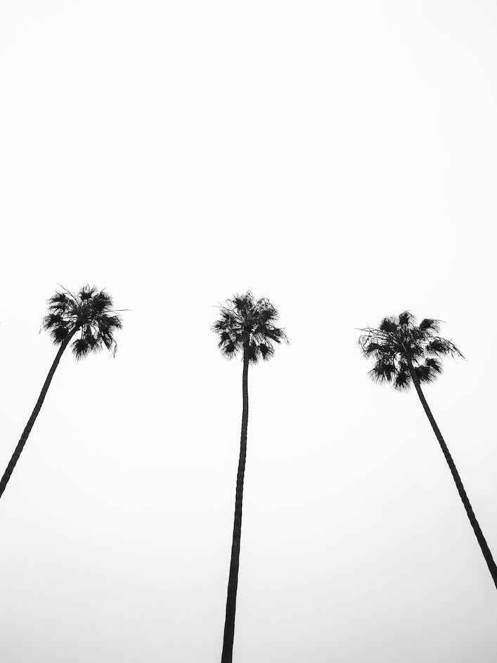Cali Cathedrals 02