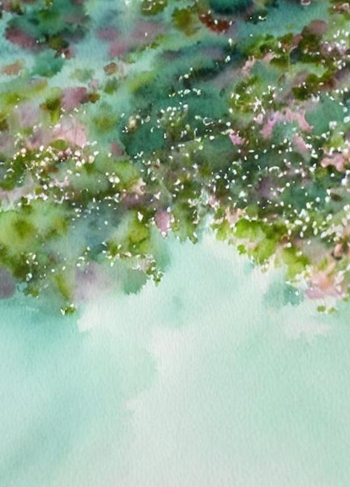 Acropora Lokani Iiii Storybook Watercolour