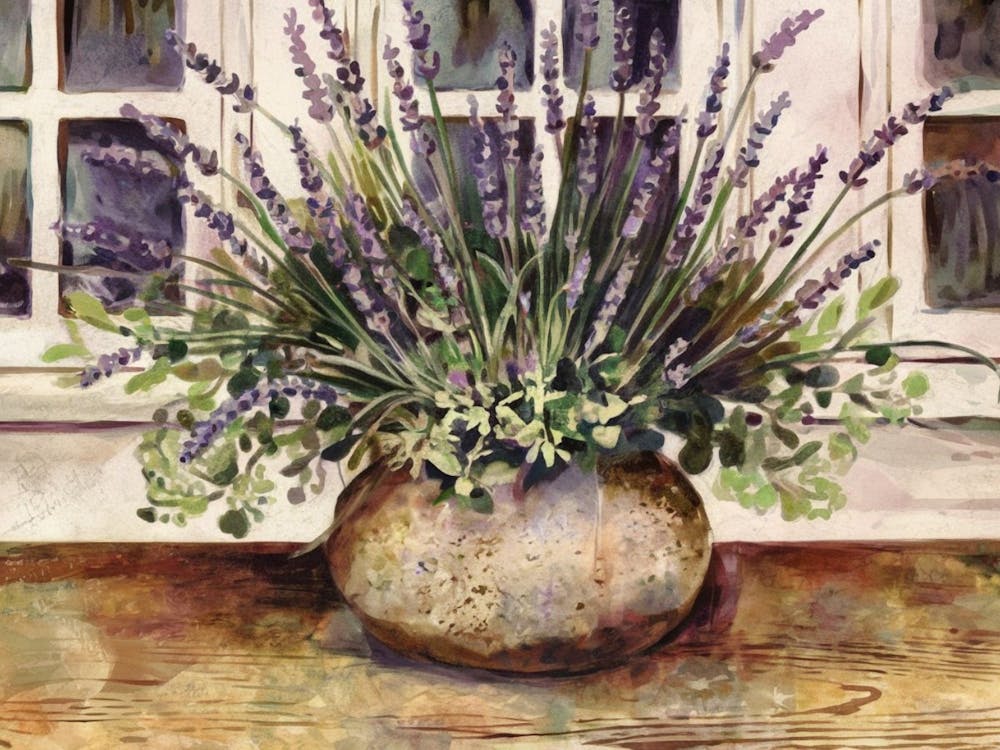 Lavender In A Pot 1