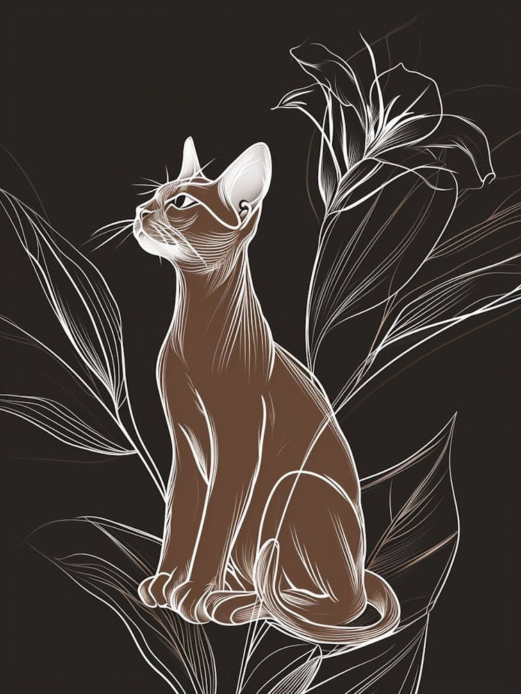 Havana Brown Cat Minimalist Illustration 1