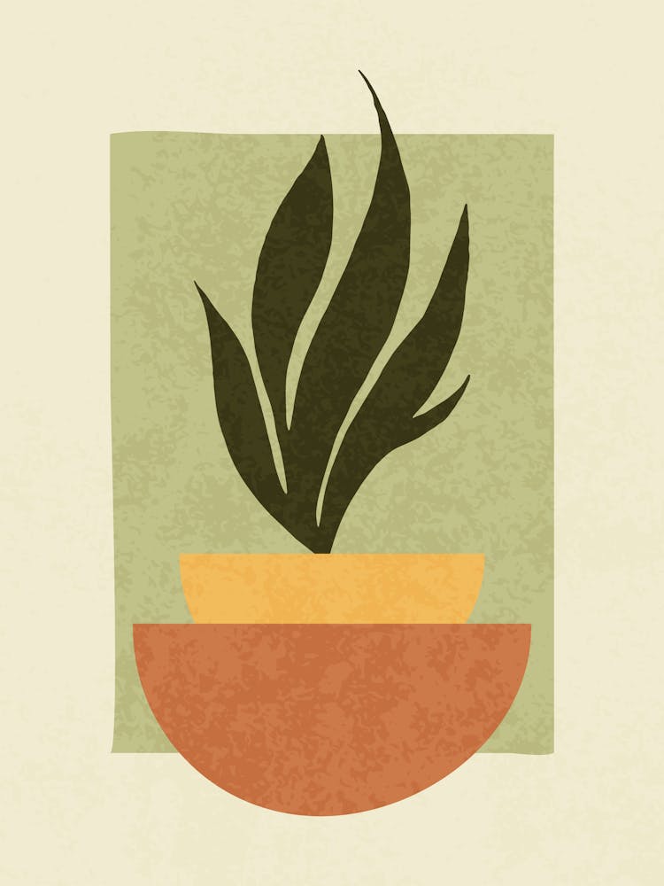 Plante Minimaliste dans un Pot Géométrique - Design