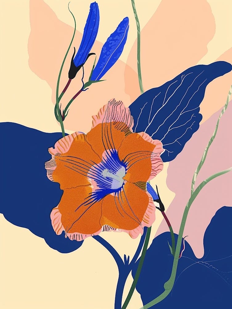 Bunte Blumenillustration Prunkwinde 3