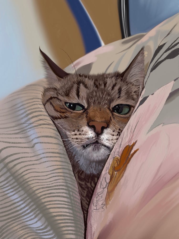Cat Stepan