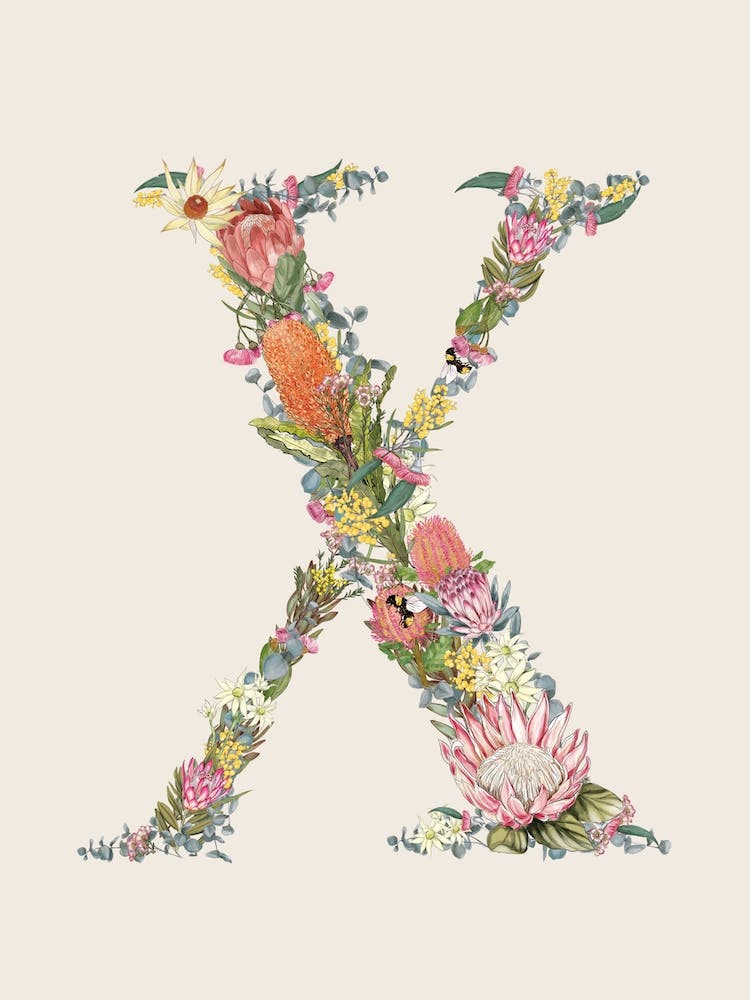 X Oat Alphabet Letter