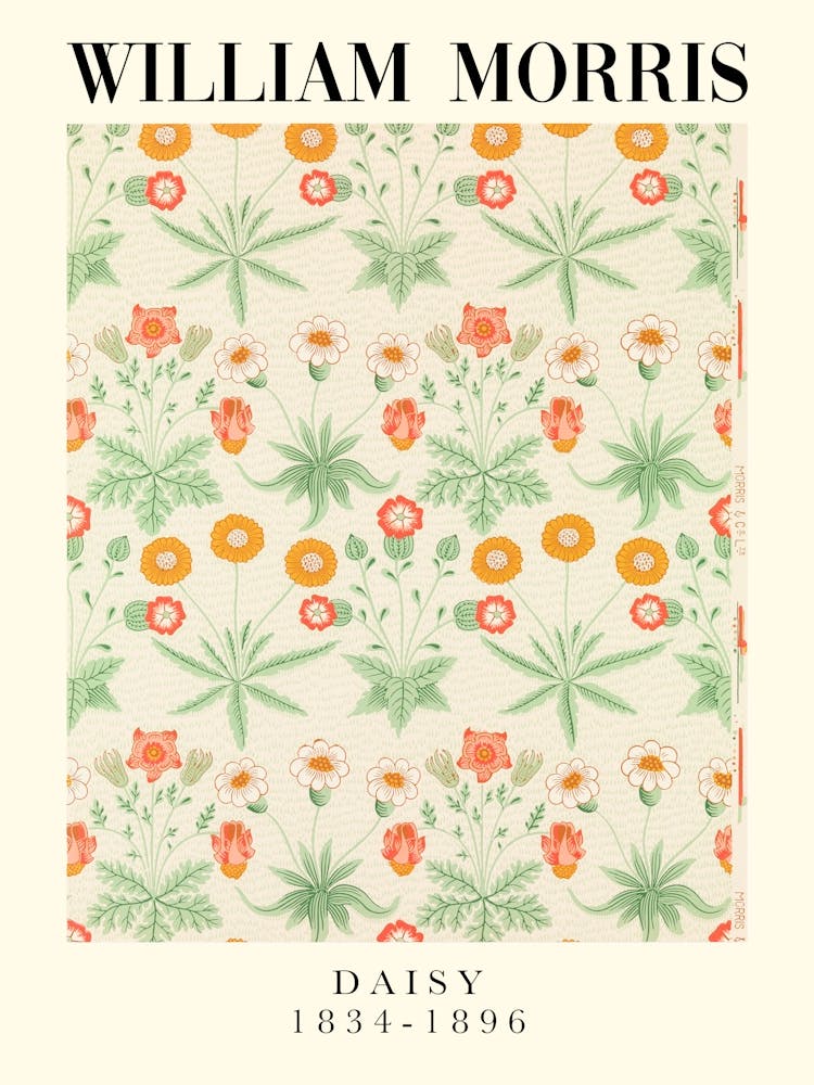 William Morris Daisy