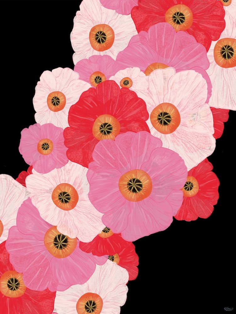 Icelandic Poppies