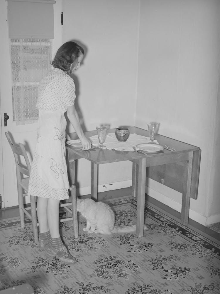 Wife Of Member Of The Casa Grande Valley Farms Setting The Table, Pinal County, Arizona By Russell Lee