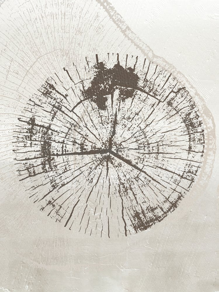 Neutral Tree Ring Stump 1