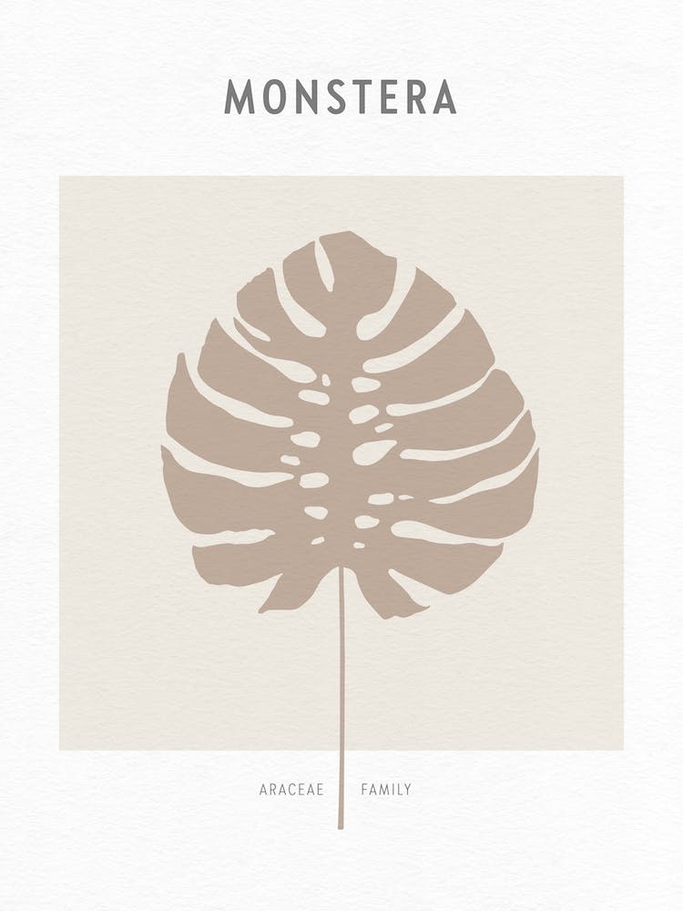 Boho Leaves 1 Monstera