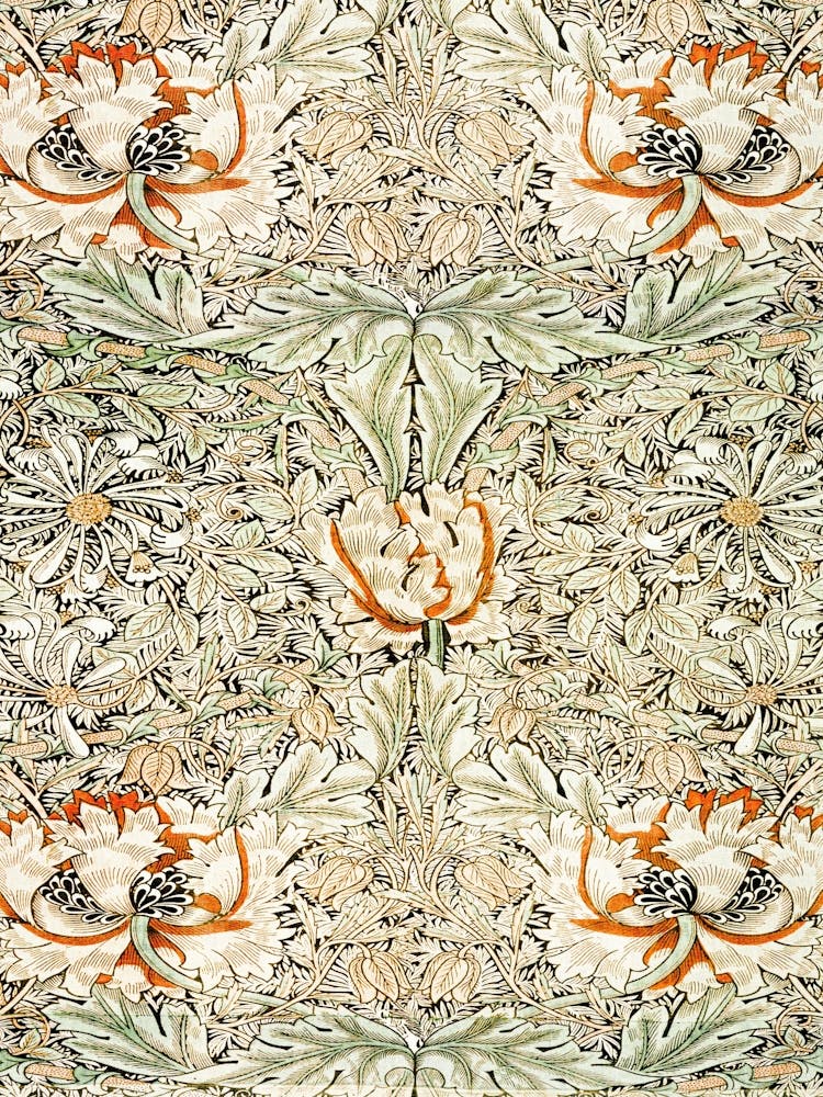 William Morris 5