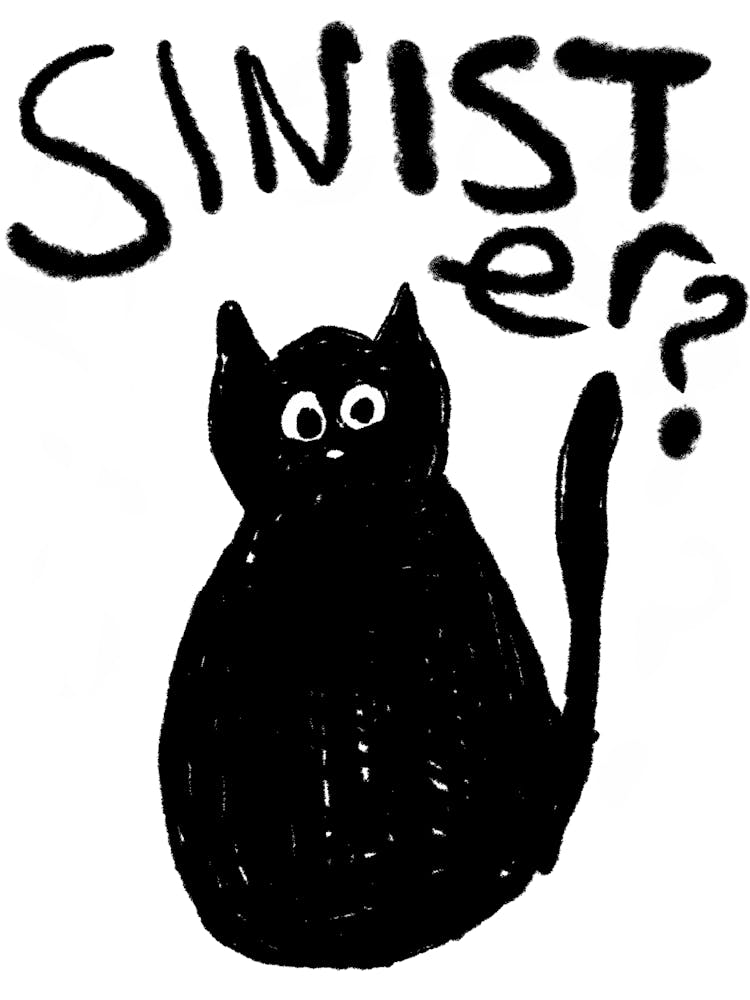 Sininster cat