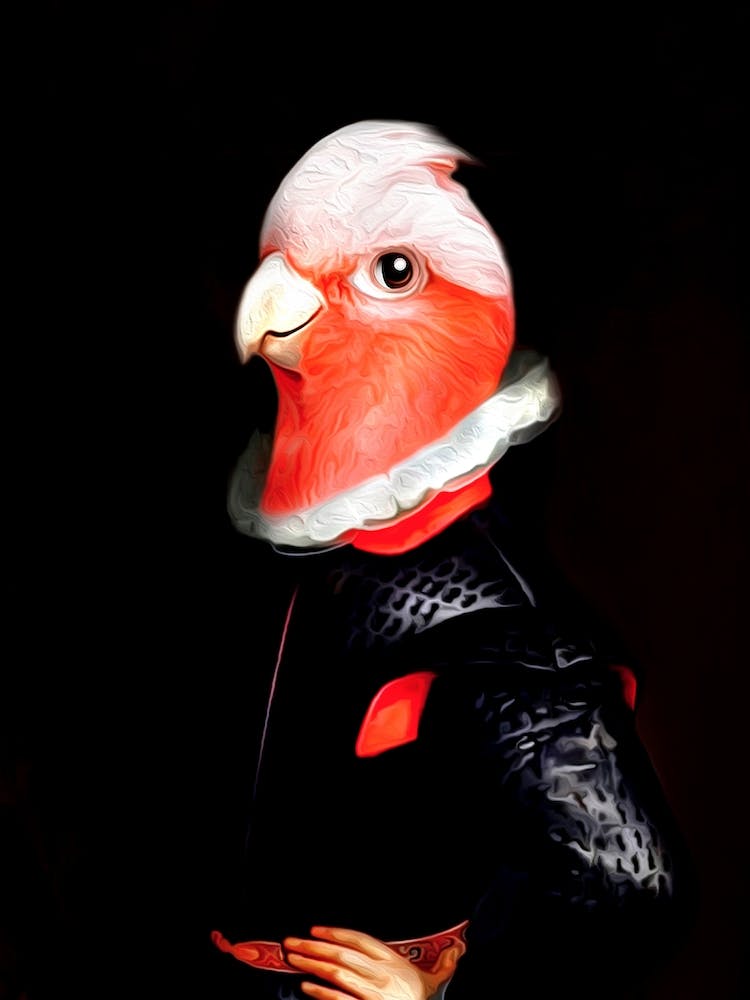 Sir Serge The Pink Parrot Pet Portraits