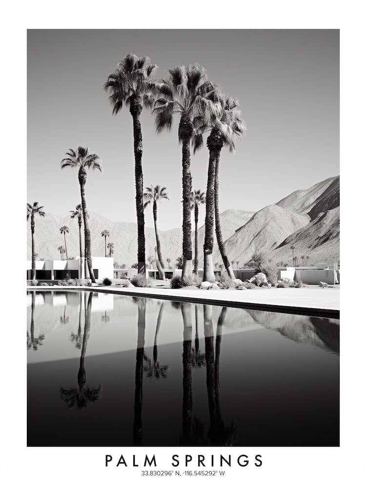 Poster Of Palm Springs, Black And White Analogue Photograph 4