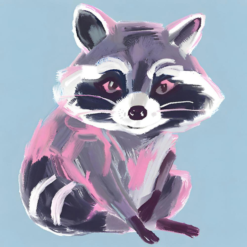 Raccoon 06
