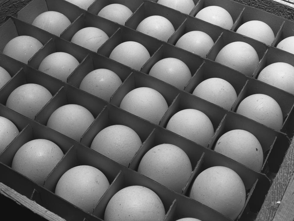 Sonoma Count, California, Eggs By Russell Lee