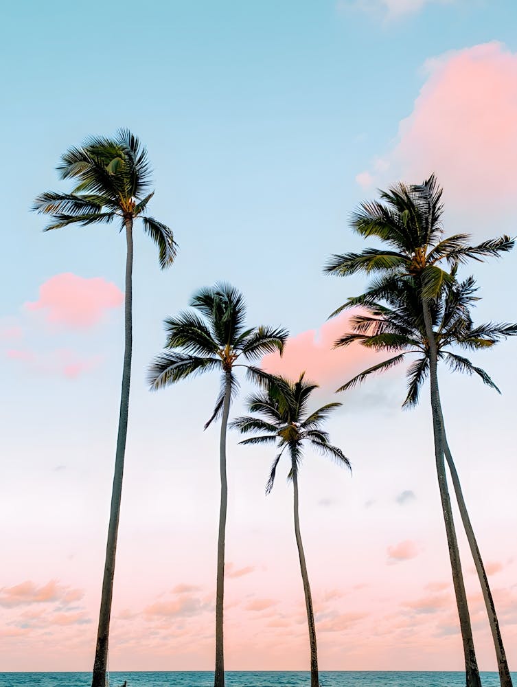 Dreamy Paradise: Palm Trees & Pastel Sky - Escape to the Beach