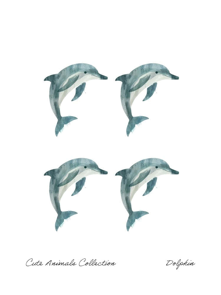 Cute Animals Collection Dolphin 1