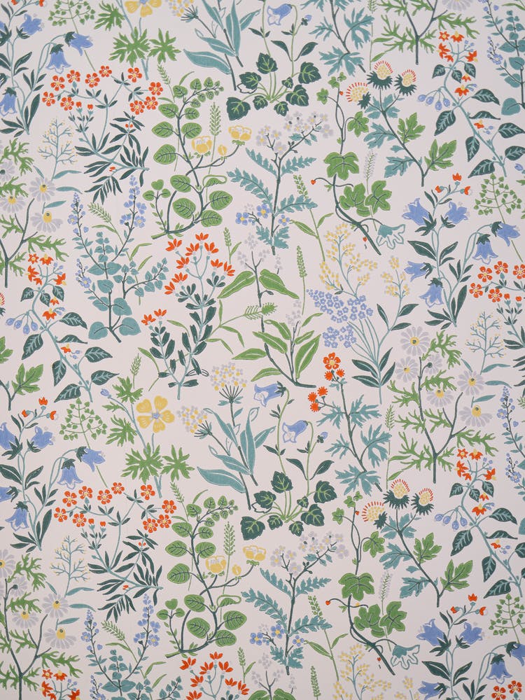 Wildblumen 1