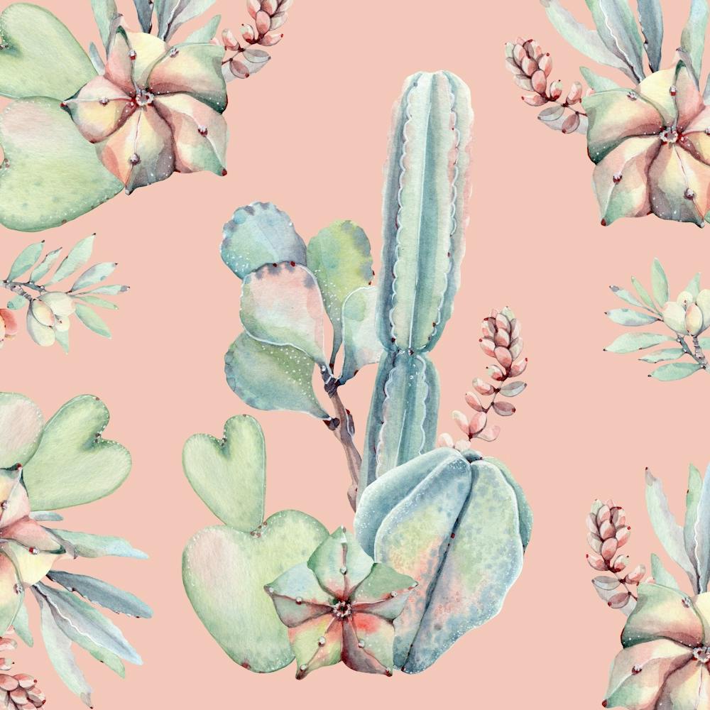 Watercolor Cactus Floral Blush