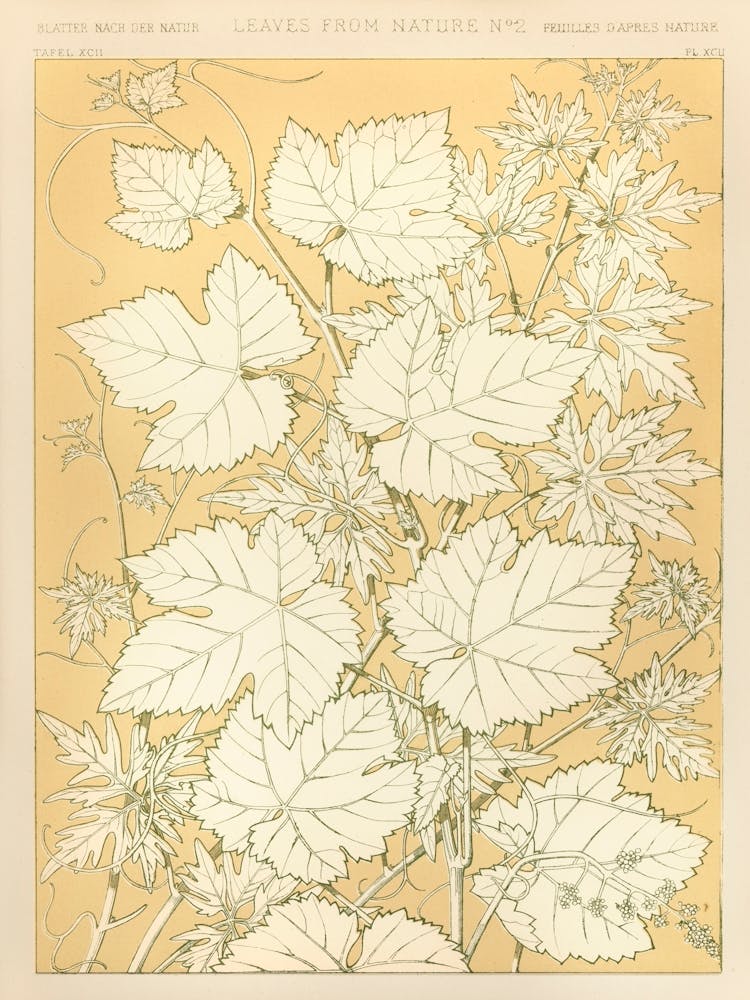 Vintage Muster Illustration, Owen Jones