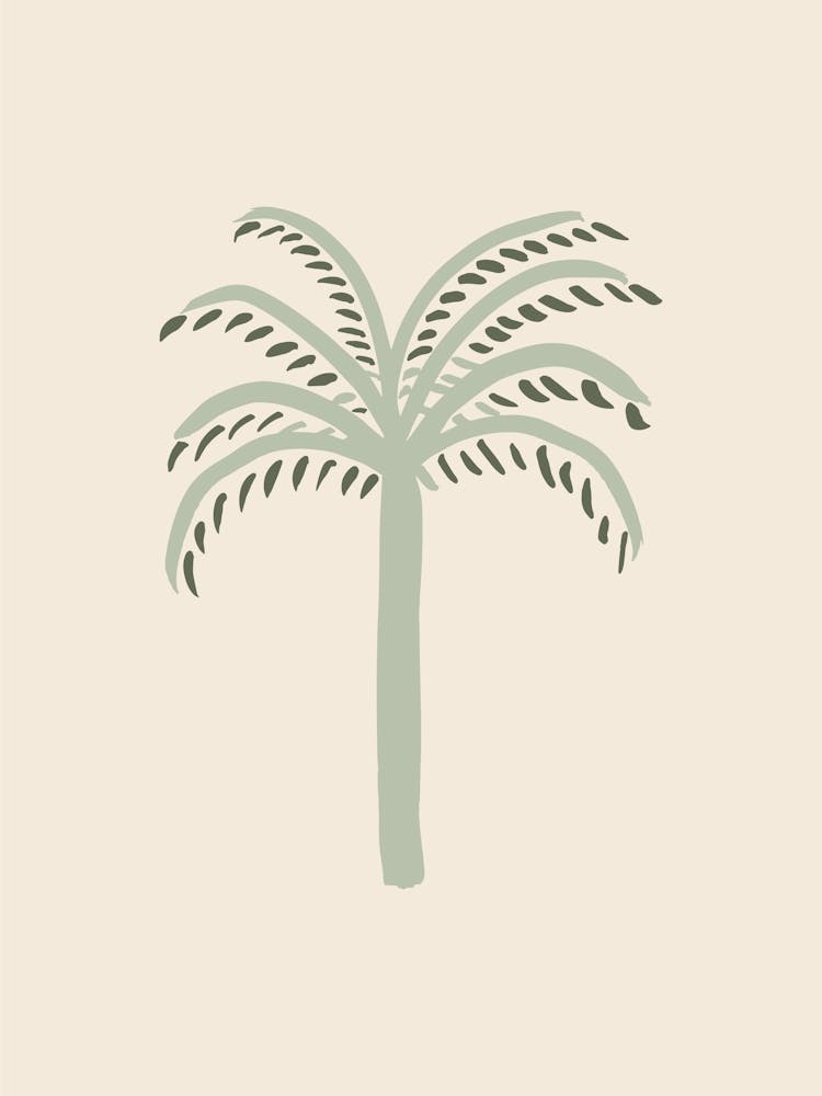 Illustration Palmier Vert_2456428