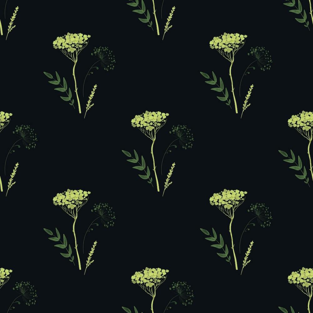 Yarrow