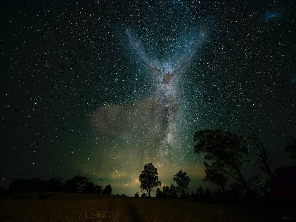 Stag Clearing Galaxy