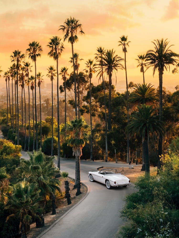 Sunset Boulevard
