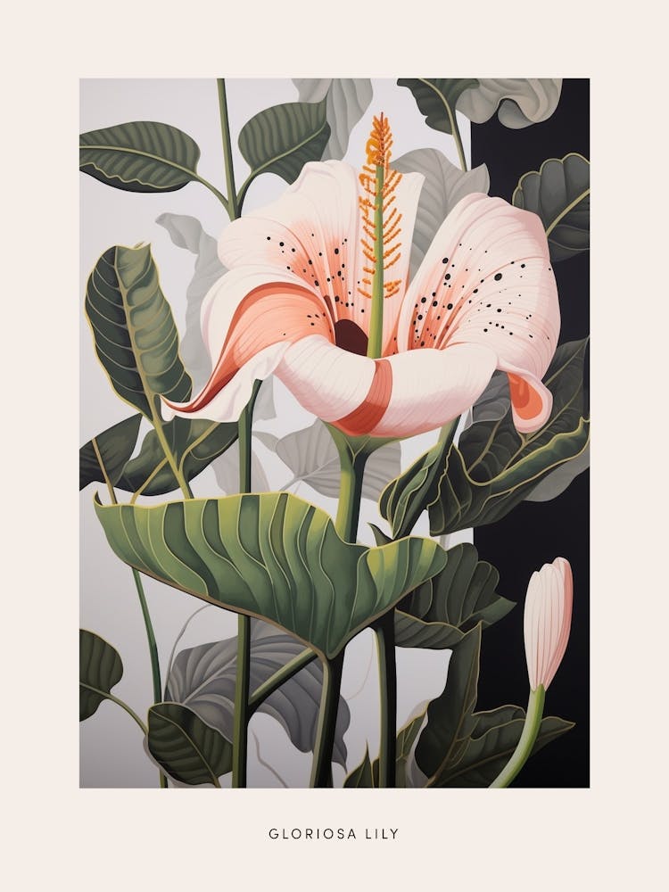 Flower Illustration Gloriosa Lily 2 Poster