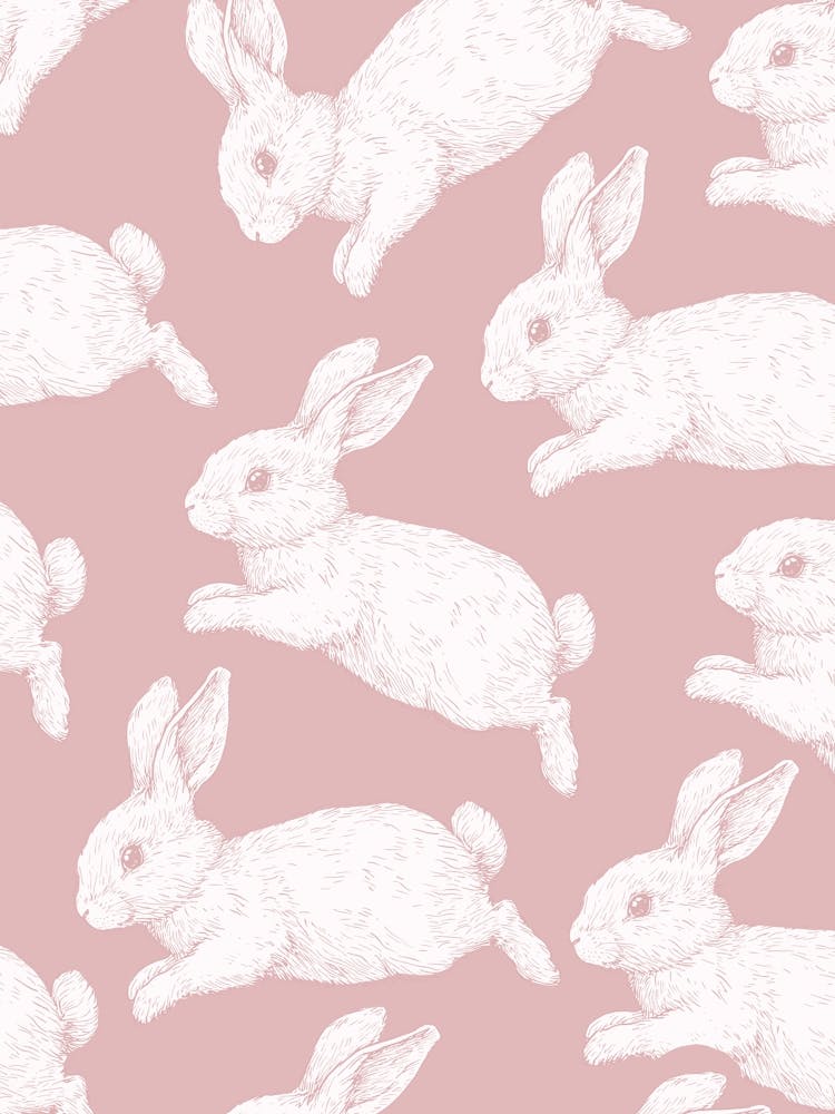 Rabbits On A Pink Background