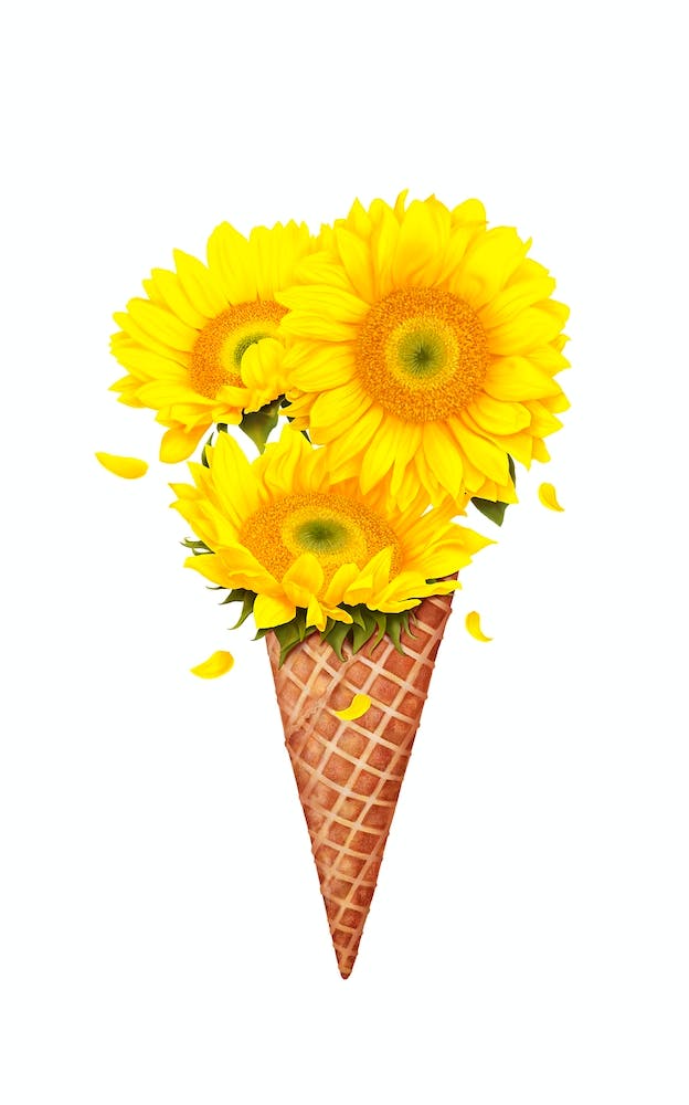 Ice Cream With Sunflowers